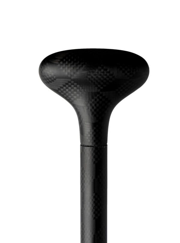 STINGRAY ALL CARBON HEX-FIXED - Imagen 5